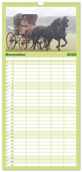 Produktbild: Familienplaner 2026 - CIAT - Historischer Fahrsport in Celle mit 5 Spalten (Wandkalender, 21 x 45 cm) CALVENDO