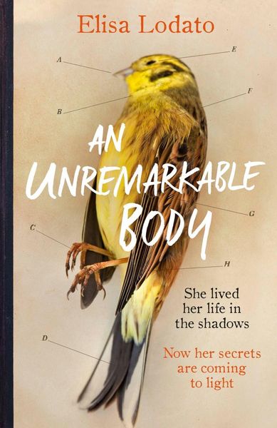 Produktbild: An Unremarkable Body