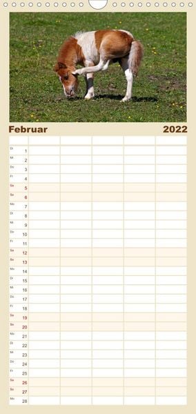 Produktbild: Familienplaner Pferde und Ponys im Paradies (Wandkalender 2022 , 21 cm x 45 cm, hoch)
