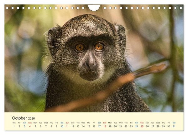 Produktbild: Wonderful Kenya (Wall Calendar 2026 DIN A4 landscape), CALVENDO 12 Month Wall Calendar