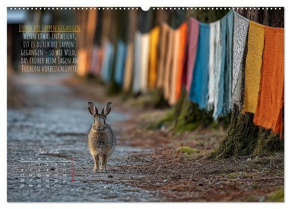 Produktbild: Nicht 08/15 - Deutsche Redewendungen und ihre Herkunft (hochwertiger Premium Wandkalender 2026 DIN A2 quer), Kunstdruck in Hochglanz