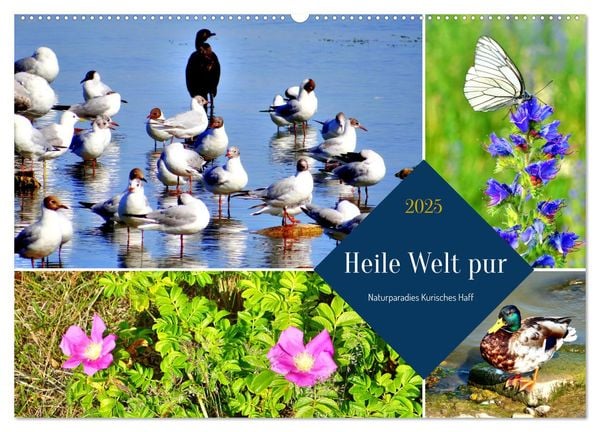 Heile Welt pur - Naturparadies Kurisches Haff (Wandkalender 2025 DIN A2 quer), CALVENDO Monatskalender