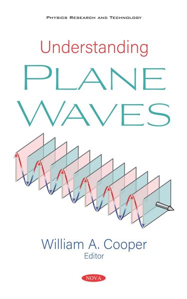 Produktbild: Understanding Plane Waves