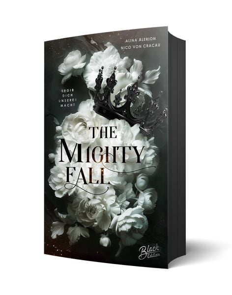 The Mighty Fall, Taschenbuch von Alina Alerion,Nico Cracau, Black Edition, 978-3-9894270-8-2