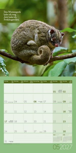 Produktbild: Keep Smiling Kalender 2027 - 30x30 - Art12