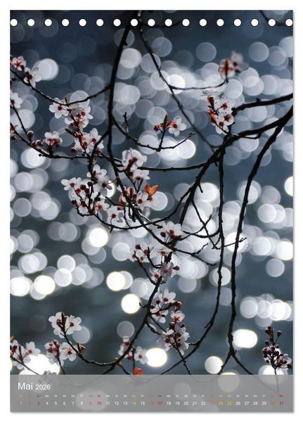 Produktbild: Mit Bokeh-Fotografie durch das Jahr (Tischkalender 2026 DIN A5 hoch), CALVENDO Monatskalender