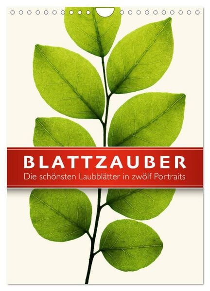 Produktbild: Blattzauber (Wandkalender 2026 DIN A4 hoch), CALVENDO Monatskalender
