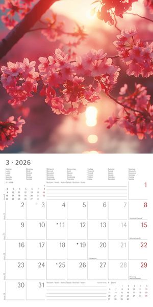Produktbild: Sunny Moments 2026 - Broschürenkalender 30x30 cm (30x60 geöffnet) - Kalender mit Platz für Notizen - Bildkalender - Wandplaner - Wandkalender