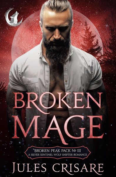 Produktbild: Broken Mage (Broken Peak Pack, #3)