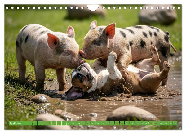 Produktbild: Muddi Buddies &ndash; Freundschaft im Matsch (Wandkalender 2026 DIN A4 quer), CALVENDO Monatskalender