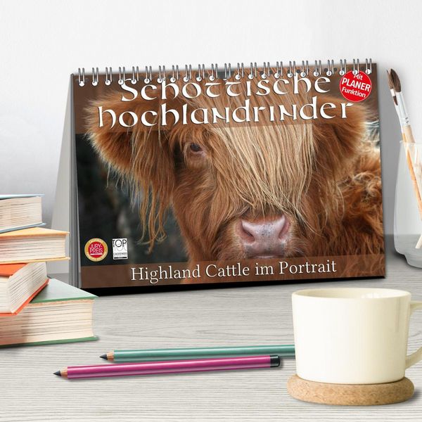 Produktbild: Schottische Hochlandrinder - Highland Cattle im Portrait (Tischkalender 2026 DIN A5 quer), CALVENDO Monatskalender