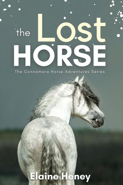 Produktbild: The Lost Horse - Book 6 in the Connemara Horse Adventure Series for Kids