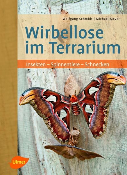 Produktbild: Wirbellose im Terrarium