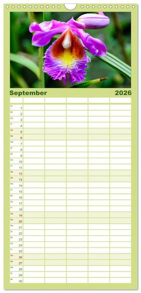 Produktbild: Familienplaner 2026 - Wunderbare Orchideen mit 5 Spalten (Wandkalender, 21 x 45 cm) CALVENDO