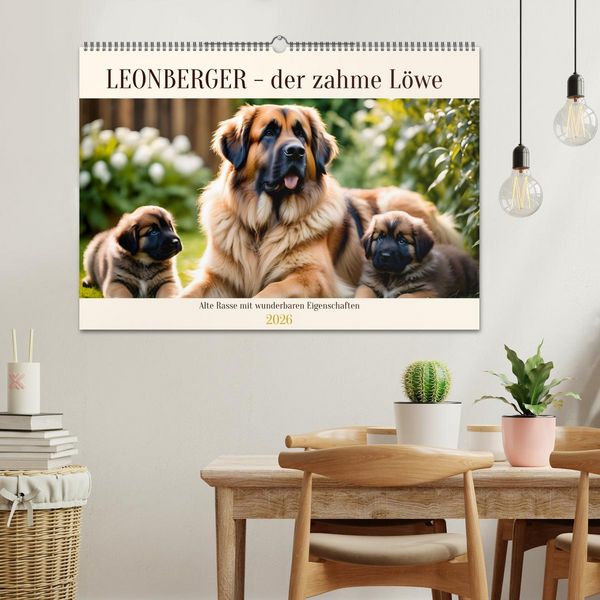 Produktbild: Leonberger - der zahme L&ouml;we (Wandkalender 2026 DIN A2 quer), CALVENDO Monatskalender