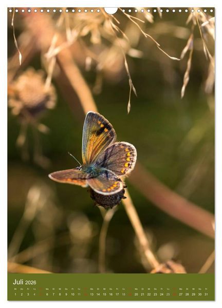 Produktbild: Natur-Romantik (Wandkalender 2026 DIN A3 hoch), CALVENDO Monatskalender
