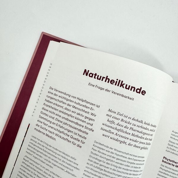 Wie Wildkräuter wirken