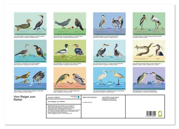 Produktbild: Vom Reiger zum Reiher (Wandkalender 2026 DIN A2 quer), CALVENDO Monatskalender