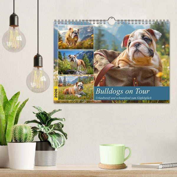 Produktbild: Bulldogs on Tour. Urlaubsreif und schnaufend zum Gipfelgl&uuml;ck (Wandkalender 2026 DIN A4 quer), CALVENDO Monatskalender
