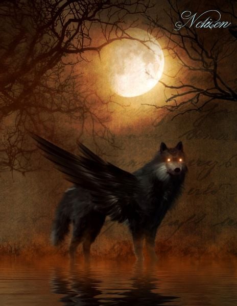Produktbild: Fantasy Notizbuch: Schattenwolf - wei&szlig;e Seiten mit Eckmotiv