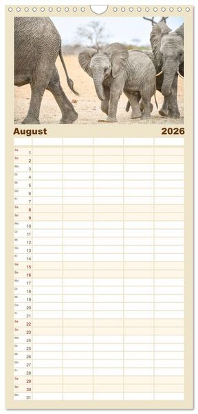 Produktbild: Familienplaner 2026 - Babyelefanten mit 5 Spalten (Wandkalender, 21 x 45 cm) CALVENDO
