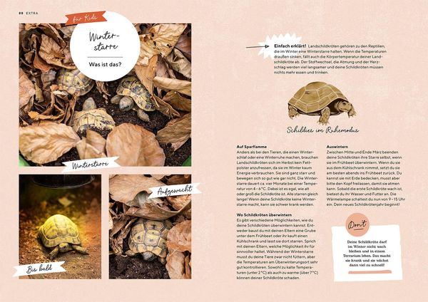 Produktbild: Landschildkr&ouml;ten