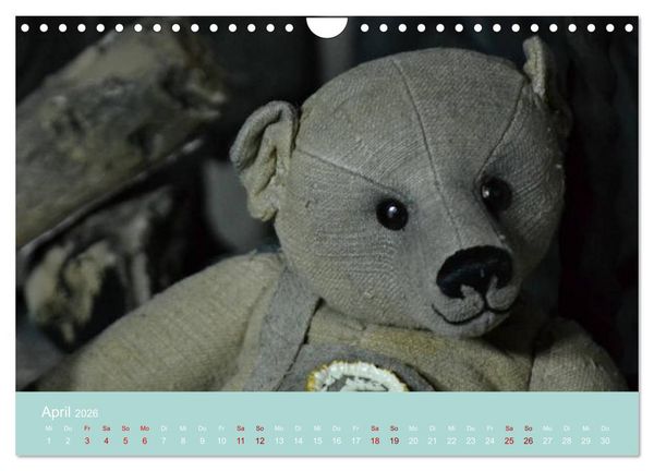 Produktbild: Robin der B&auml;r (Wandkalender 2026 DIN A4 quer), CALVENDO Monatskalender