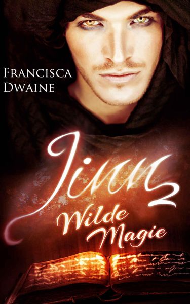 Produktbild: Jinn 2: Wilde Magie