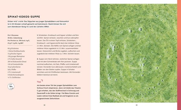 Scheinfasten – Das Rezeptbuch