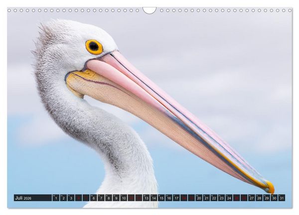 Produktbild: Wildtierkalender (Wandkalender 2026 DIN A3 quer), CALVENDO Monatskalender