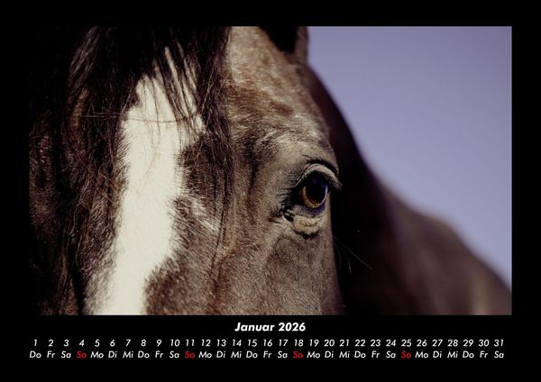 Produktbild: Pferdegefl&uuml;ster 2026 Fotokalender DIN A3