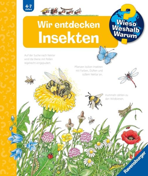 Produktbild: Wieso? Weshalb? Warum? Band 39 - Wir entdecken Insekten