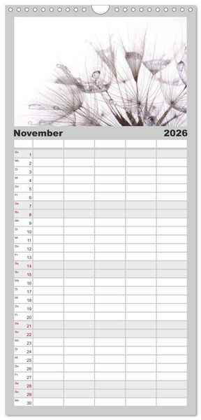 Produktbild: Familienplaner 2026 - Filigrane Pusteblumen / Geburtstagskalender mit 5 Spalten (Wandkalender, 21 x 45 cm) CALVENDO
