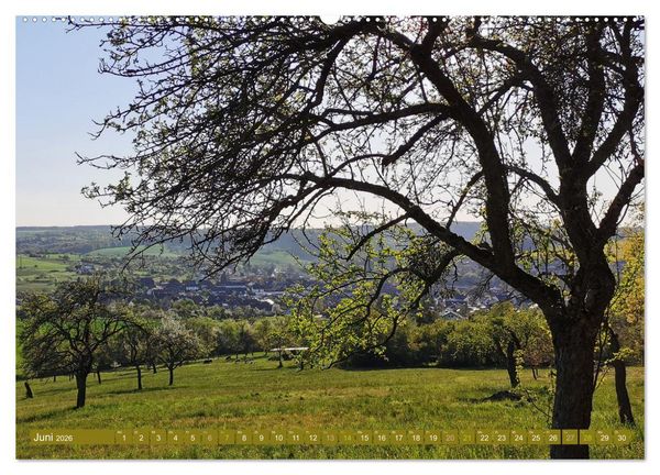 Produktbild: Apfelbaum und Streuobstwiesen (Wandkalender 2026 DIN A2 quer), CALVENDO Monatskalender