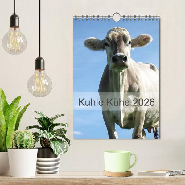 Produktbild: Kuhle K&uuml;he 2026 (Wandkalender 2026 DIN A4 hoch), CALVENDO Monatskalender