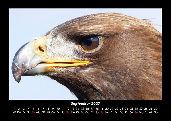 Produktbild: Vogelparadies 2027 Fotokalender DIN A3