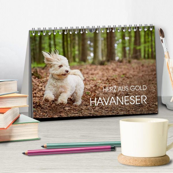 Produktbild: Havaneser - Herz aus Gold (Tischkalender 2026 DIN A5 quer), CALVENDO Monatskalender