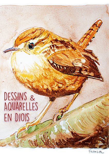 Produktbild: Dessins & Aquarelles en Diois