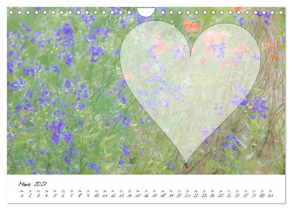 Produktbild: Blauer Bl&uuml;tentraum - Bastelkalender (Wandkalender 2027 DIN A4 quer), CALVENDO Monatskalender