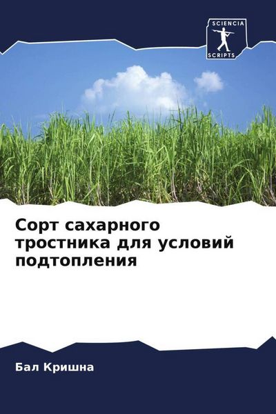 Produktbild: Sort saharnogo trostnika dlq uslowij podtopleniq