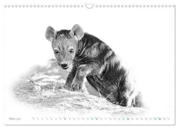 Produktbild: AFRIKA - Schwarz-weiss Fotografien im modernen "High Key" Look (Wandkalender 2026 DIN A3 quer), CALVENDO Monatskalender