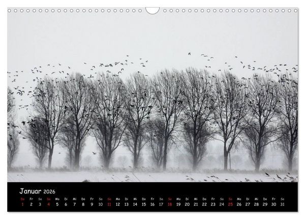 Produktbild: Schrei der Wildg&auml;nse (Wandkalender 2026 DIN A3 quer), CALVENDO Monatskalender
