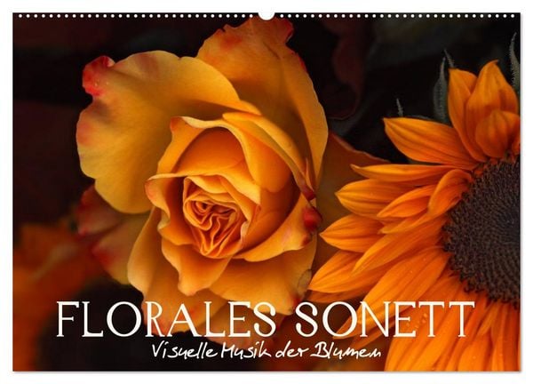 Produktbild: Florales Sonett - Visuelle Musik der Blumen (Wandkalender 2026 DIN A2 quer), CALVENDO Monatskalender
