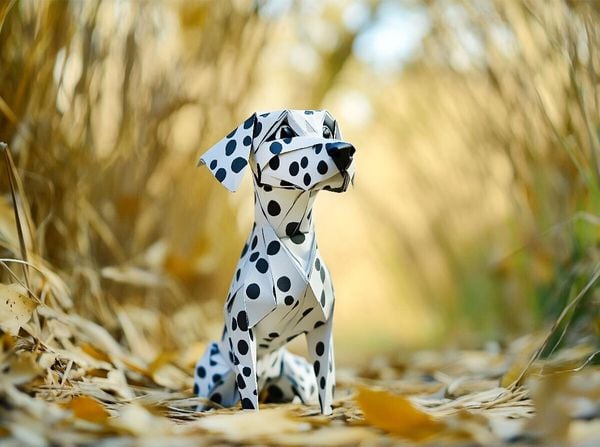 Produktbild: CALVENDO Puzzle Ein Motiv aus dem Kalender"Wenn Papier zum Leben erwacht" | 2000 Teile Lege-Gr&ouml;&szlig;e 90x67cm Foto-Puzzle f&uuml;r gl&uuml;ckliche Stunden