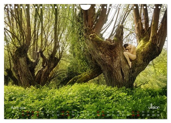 Produktbild: Poesie der Stille &ndash; Akt in der Natur (Wandkalender 2026 DIN A4 quer), CALVENDO Monatskalender