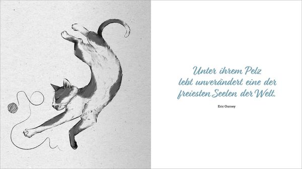 Produktbild: Kleine Katzenphilosophie