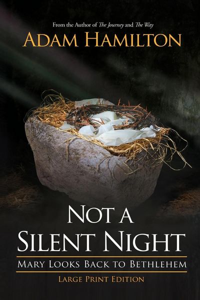 Produktbild: Not a Silent Night