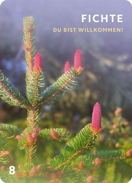 Produktbild: D&uuml;fte f&uuml;r die Seele