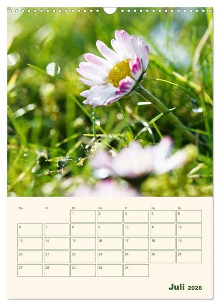 Produktbild: Vertr&auml;umte G&auml;nsebl&uuml;mchen (Wandkalender 2026 DIN A3 hoch), CALVENDO Monatskalender