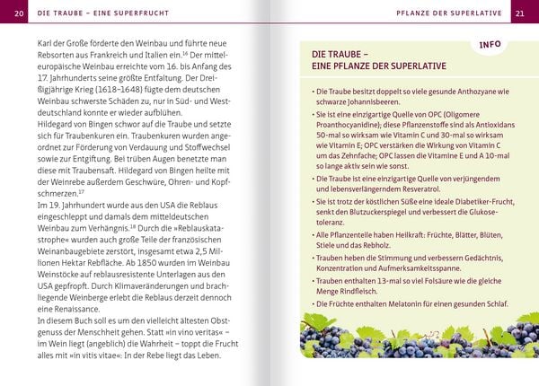 Produktbild: Traube und Weinrebe - Heilpflanze der Volksmedizin. Kompakt-Ratgeber